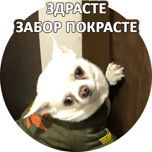 👋 Стикер «SebekBandit» для Telegram