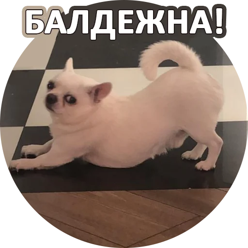 ☺️ Стикер «SebekBandit» для Telegram