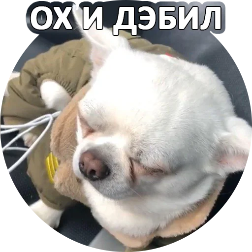 🤬 Стикер «SebekBandit» для Telegram