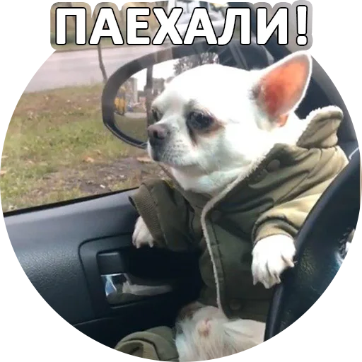 🚗 Стикер «SebekBandit» для Telegram