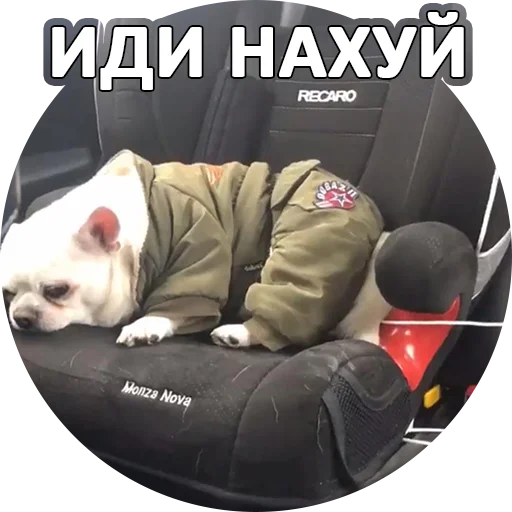 🖕 Стикер «SebekBandit» для Telegram