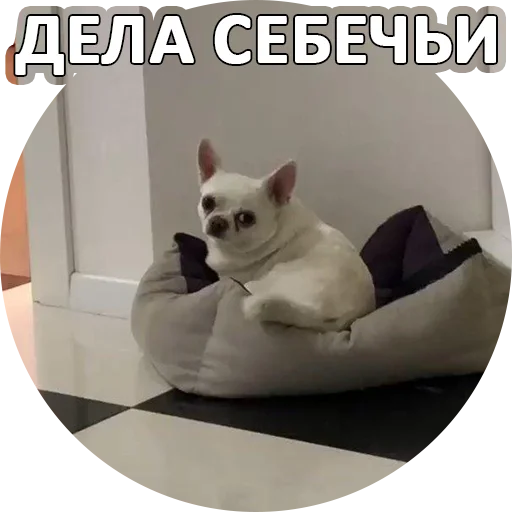 👊 Стикер «SebekBandit» для Telegram