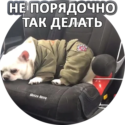 ☹️ Стикер «SebekBandit» для Telegram