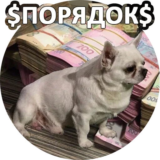 👌 Стикер «SebekBandit» для Telegram