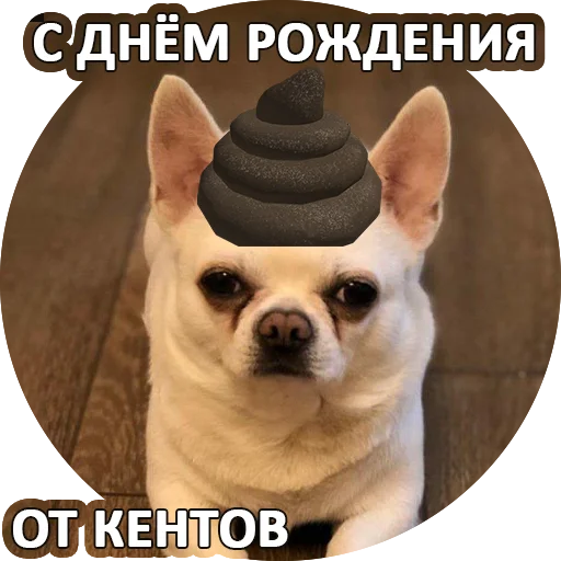 🎁 Стикер «SebekBandit» для Telegram