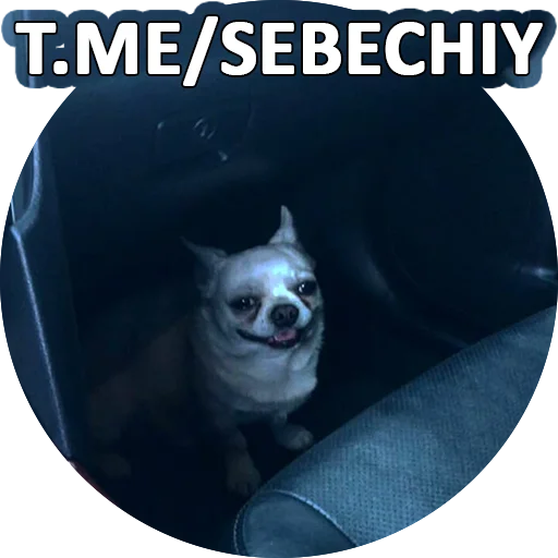 ☑️ Стикер «SebekBandit» для Telegram