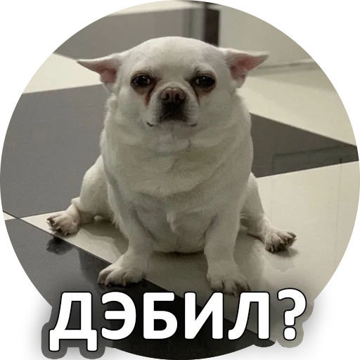 😕 Стикер «SebekBandit» для Telegram