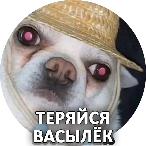 ✋ Стикер «SebekBandit» для Telegram