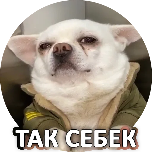 😕 Стикер «SebekBandit» для Telegram
