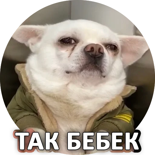 😕 Стикер «SebekBandit» для Telegram