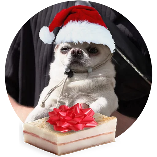 🎁 Стикер «SebekBandit» для Telegram