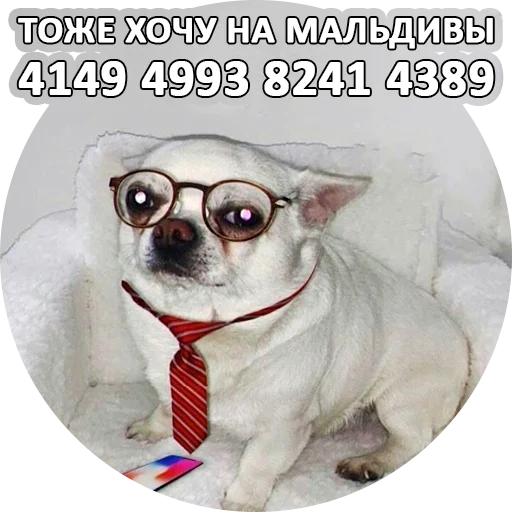 Стикерпак SebekBandit для Telegram