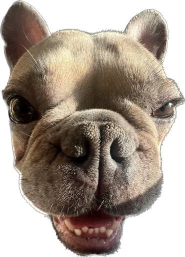 🤠 Стикер «Marsel’» для Telegram