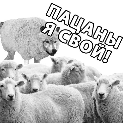 🐺 Стикер «Великие соц. инженеры» для Telegram