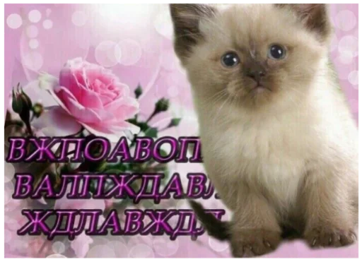 😮 Стикер «ъоьмы!!» для Telegram