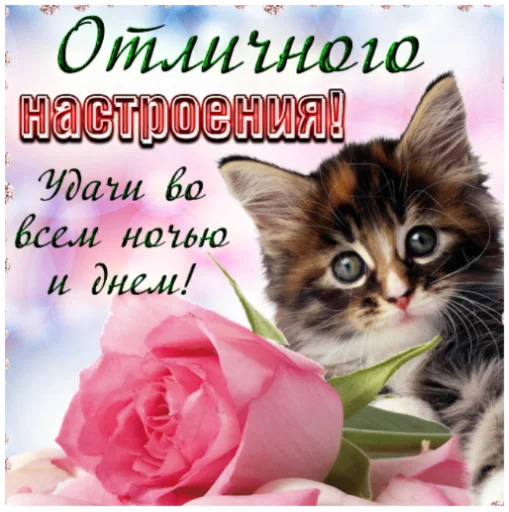 👍 Стикер «ъоьмы!!» для Telegram