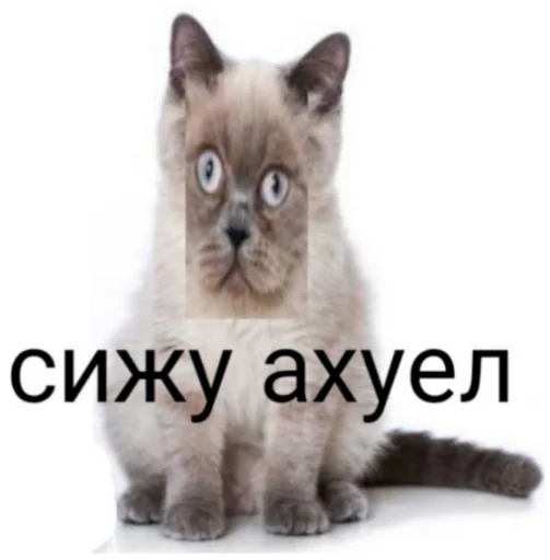 🗿 Стикер «ъоьмы!!» для Telegram