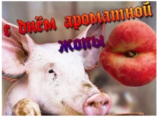 🍑 Стикер «ъоьмы!!» для Telegram