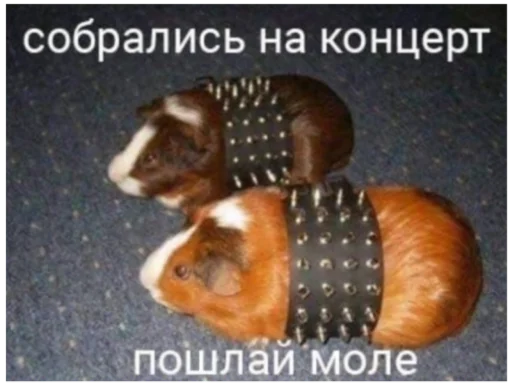 🤘 Стикер «ъоьмы!!» для Telegram