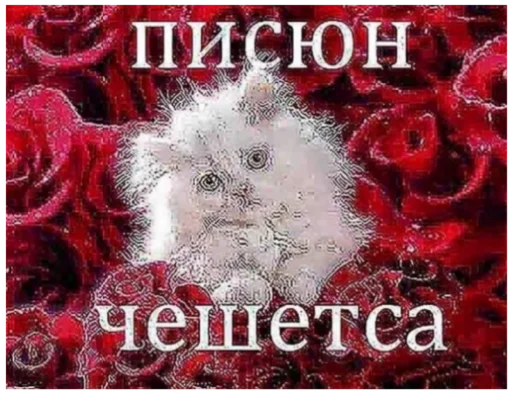 🐱 Стикер «ъоьмы!!» для Telegram