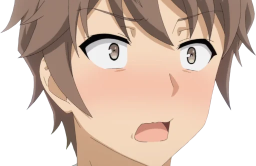 😳 Стикер «Seishun Buta Yarou wa Bunny Girl Senpai no Yume wo Minai» для Telegram