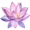 🌸 Эмодзи «селишкаа» для Telegram