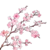 🌸 Эмодзи «селишкаа» для Telegram