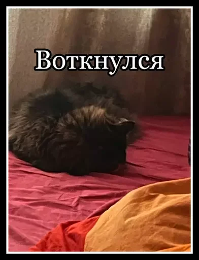 😴 Стикер «Semen» для Telegram