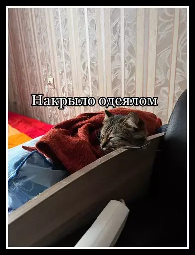 😻 Стикер «Semen» для Telegram