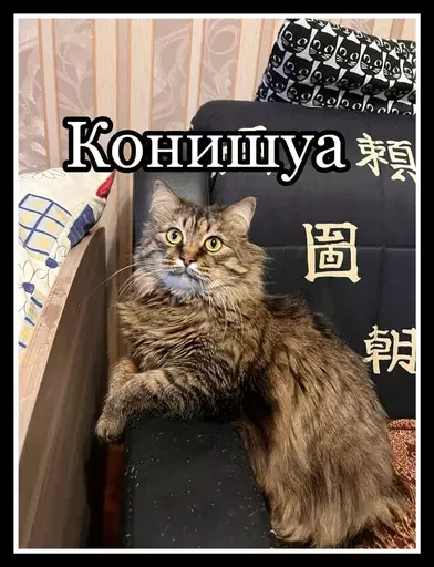 👾 Стикер «Semen» для Telegram