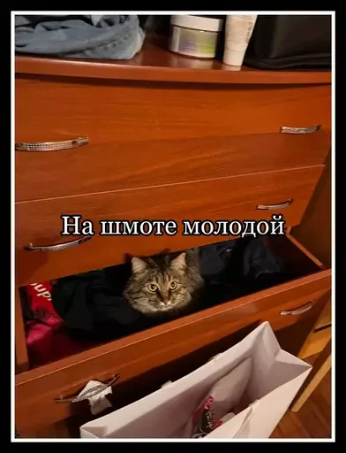 🤟 Стикер «Semen» для Telegram