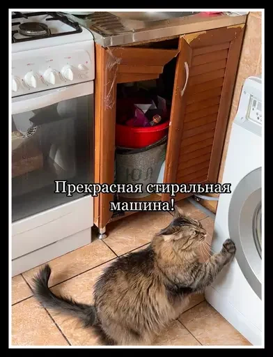 🚘 Стикер «Semen» для Telegram