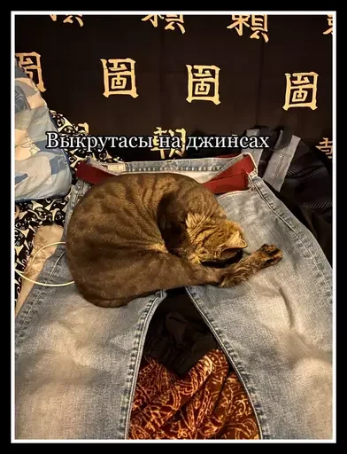 👖 Стикер «Semen» для Telegram