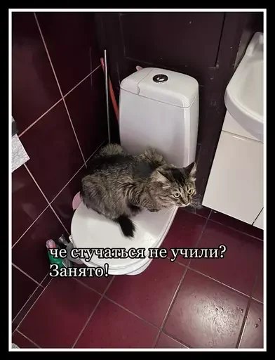 🚽 Стикер «Semen» для Telegram