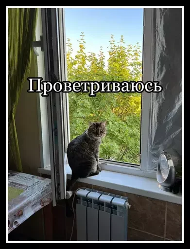 😮‍💨 Стикер «Semen» для Telegram