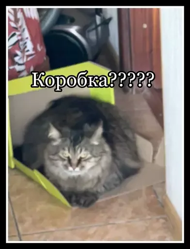💅 Стикер «Semen» для Telegram