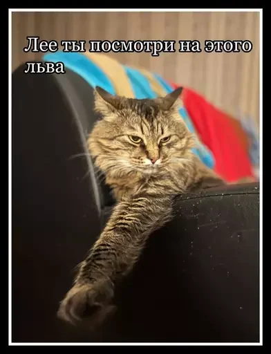 🦁 Стикер «Semen» для Telegram