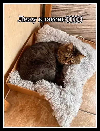 🧖‍♀️ Стикер «Semen» для Telegram