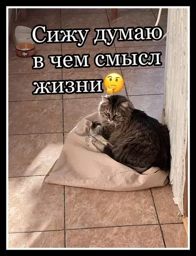 🤔 Стикер «Semen» для Telegram