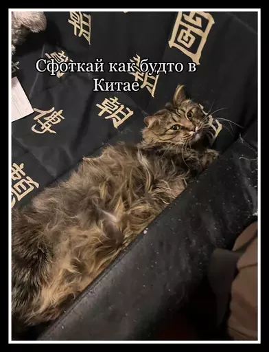 🐈‍⬛ Стикер «Semen» для Telegram