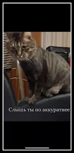 😾 Стикер «Semen» для Telegram