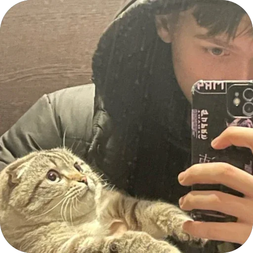 🫥 Стикер «Сэмик кот» для Telegram