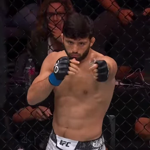 👌 Стикер «UFC» для Telegram