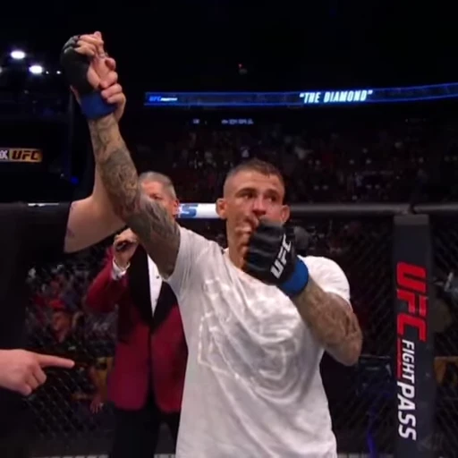 🫵 Стикер «UFC» для Telegram