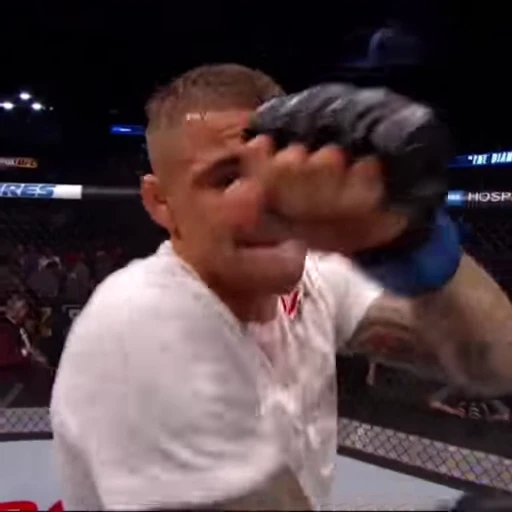 🧟‍♂ Стикер «UFC» для Telegram