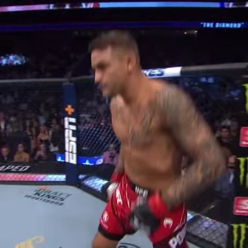 🤪 Стикер «UFC» для Telegram
