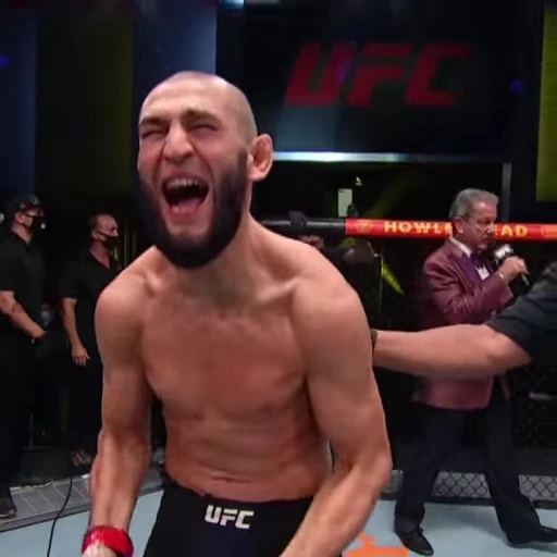 Стикерпак UFC для Telegram