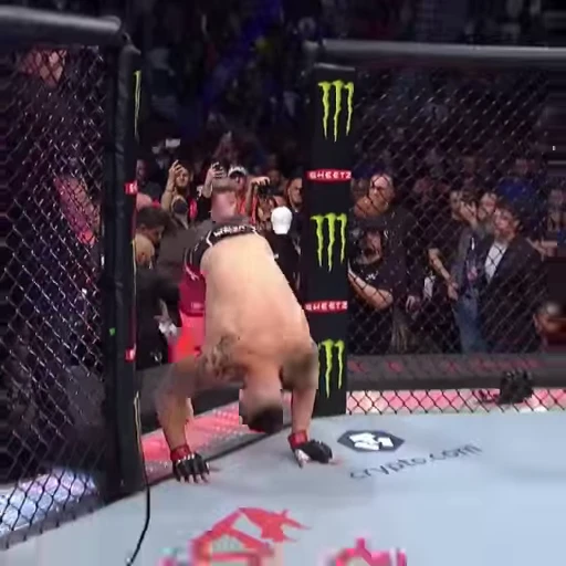🔁 Стикер «UFC» для Telegram