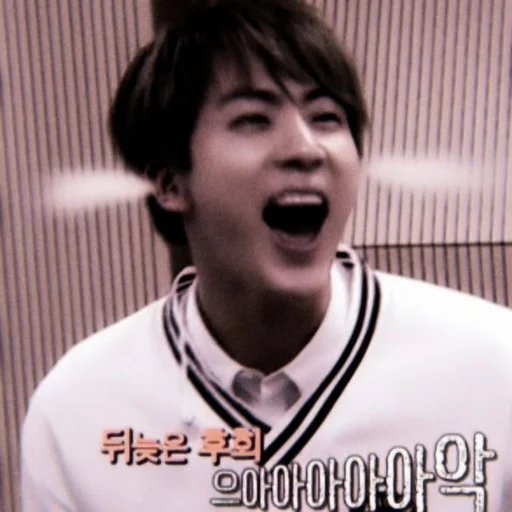☂ Стикер «SEOKJIN» для Telegram
