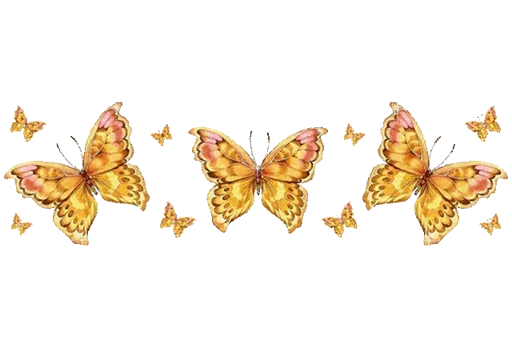 🦋 Стикер «Separator» для Telegram